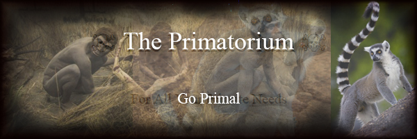 The Primatorium