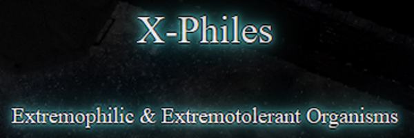 X-Philes
